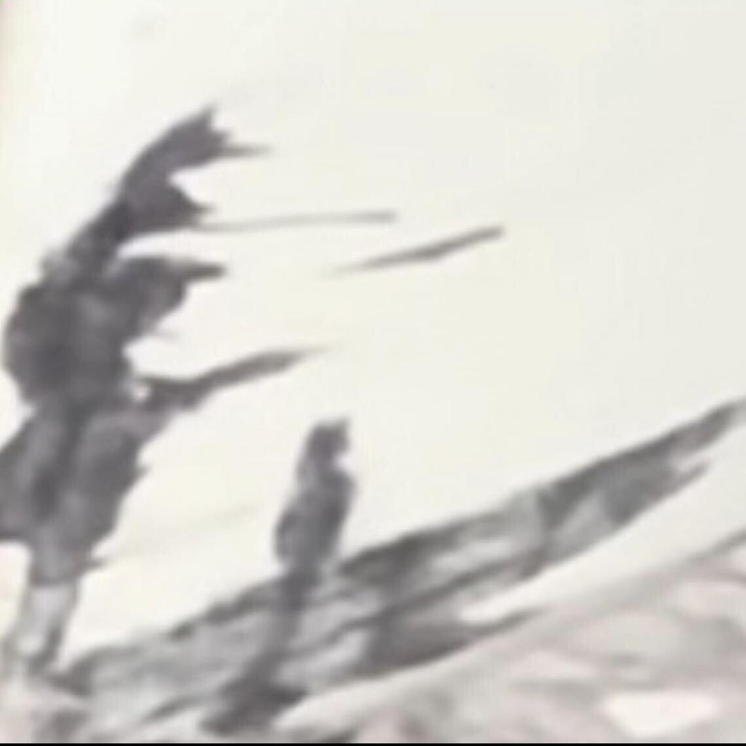 PUA大王