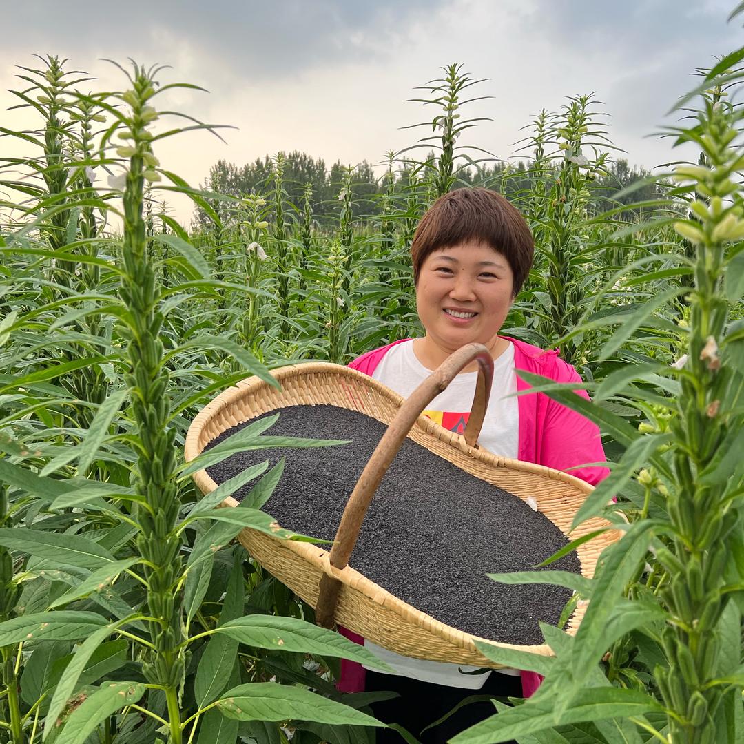 乡村尉小菲