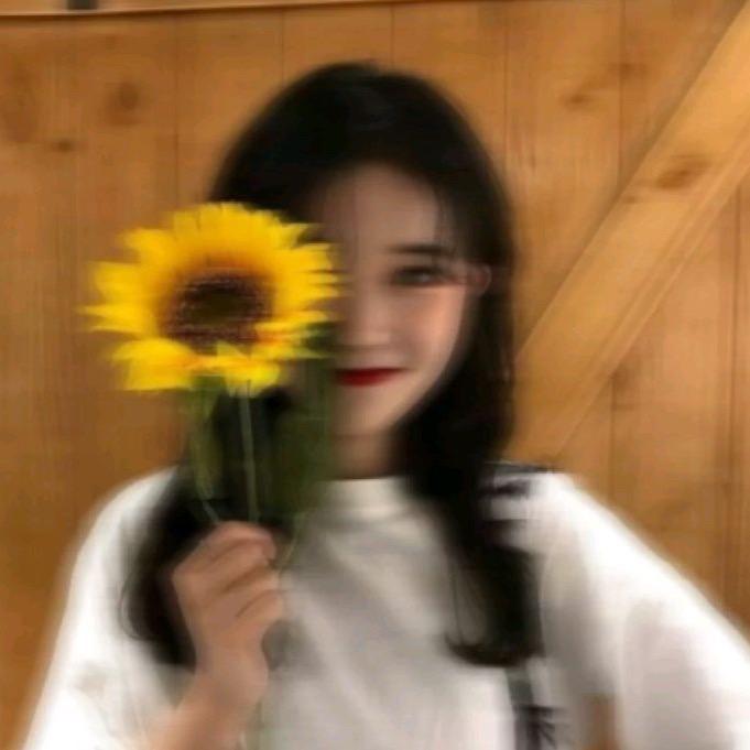 ✨      月er、 🎈