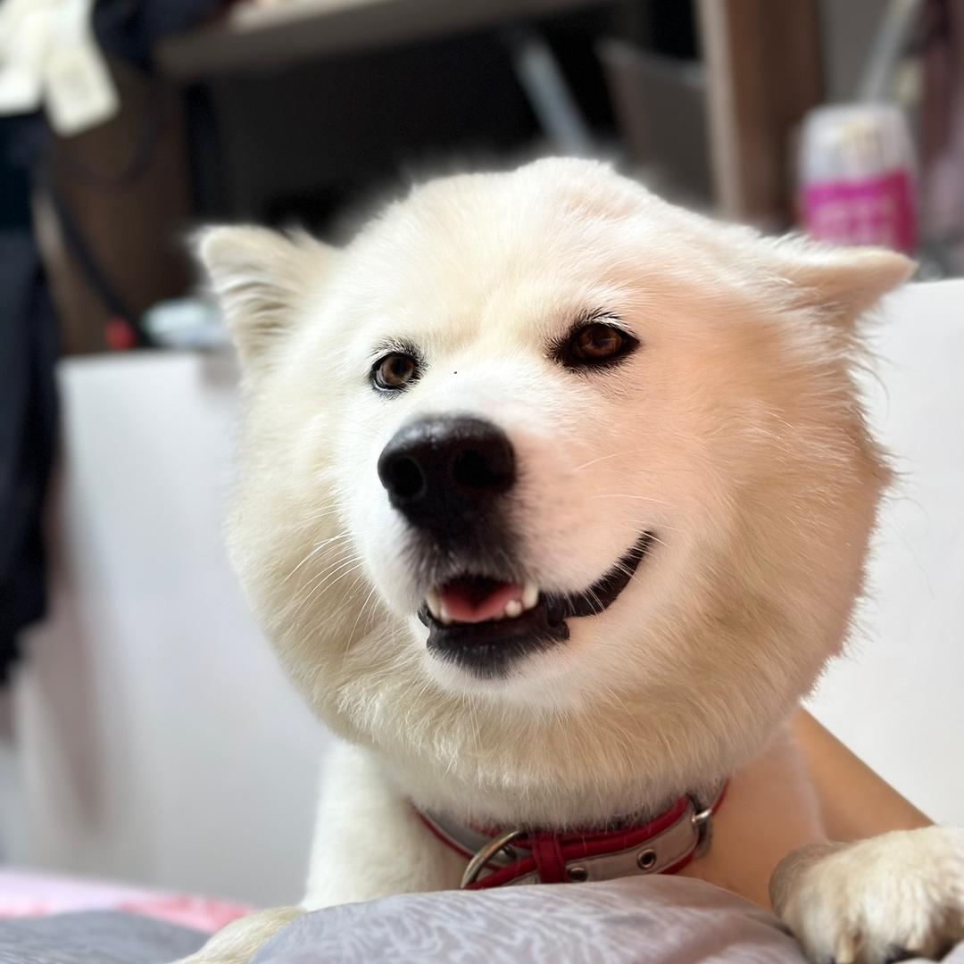 小小饭包没烦恼