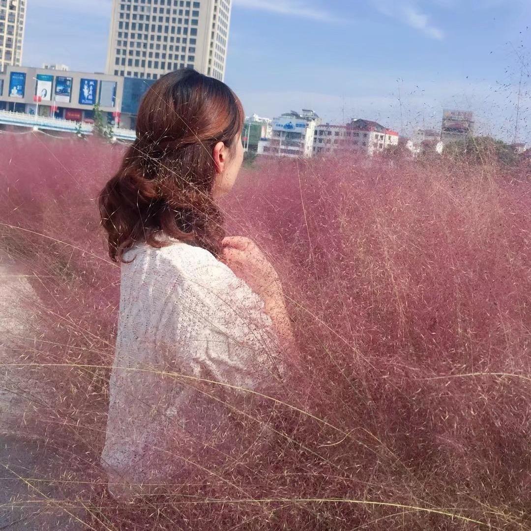 洋坪·衣柜女装
