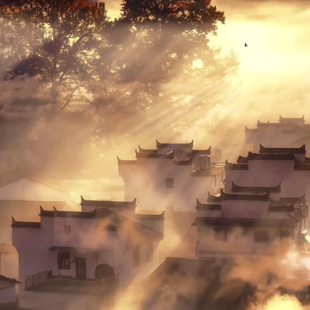 雲峀坣