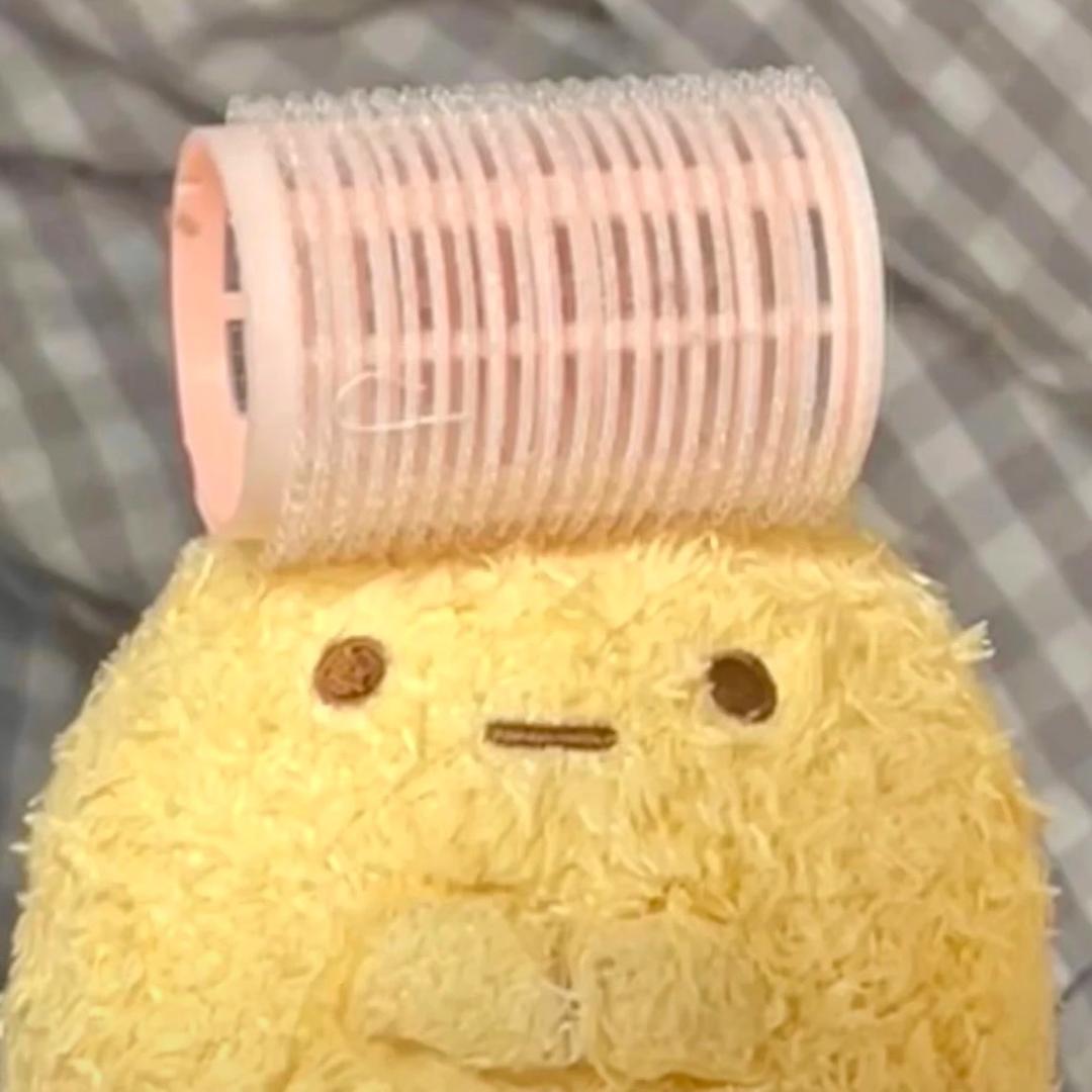 小丽小丽