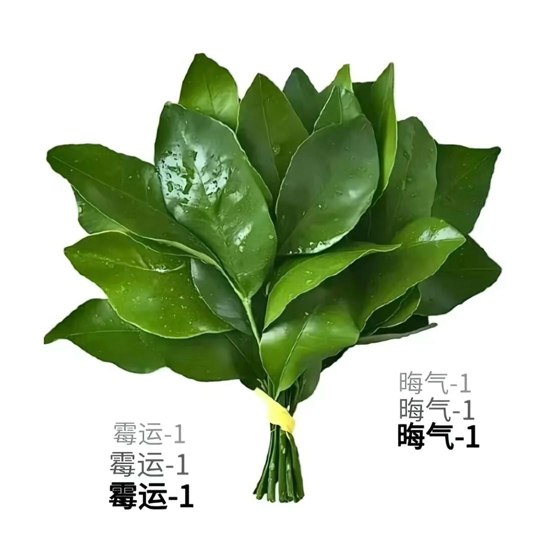 清镇新房  二手房买卖租凭