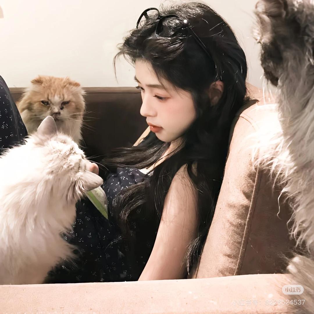 摆烂🌥️