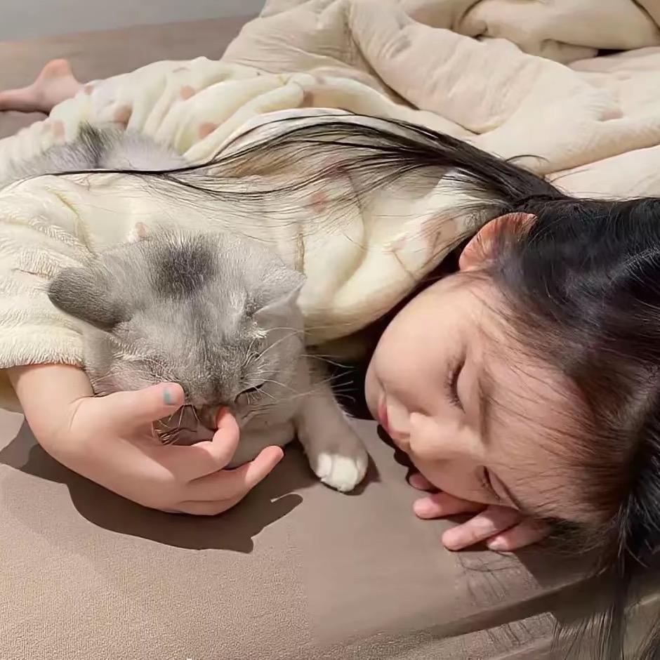 晚安安an