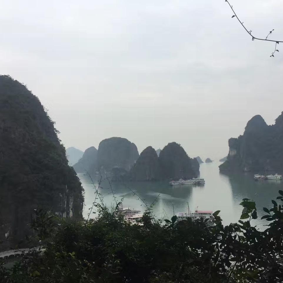 天蝎🦂
