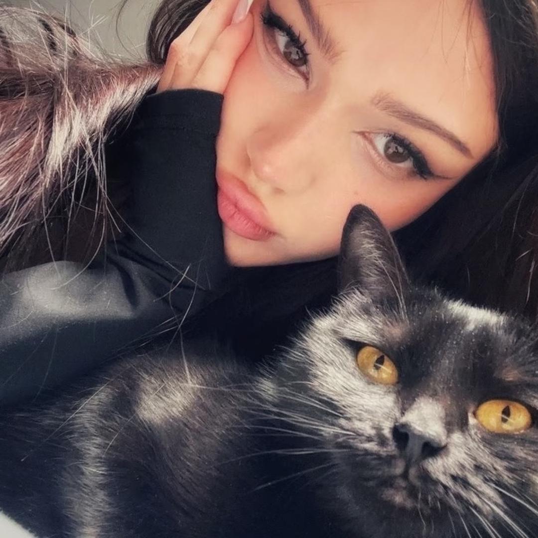 消失的蛋挞君