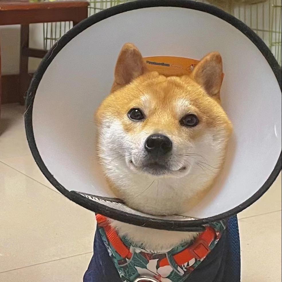 我就说该我胡了
