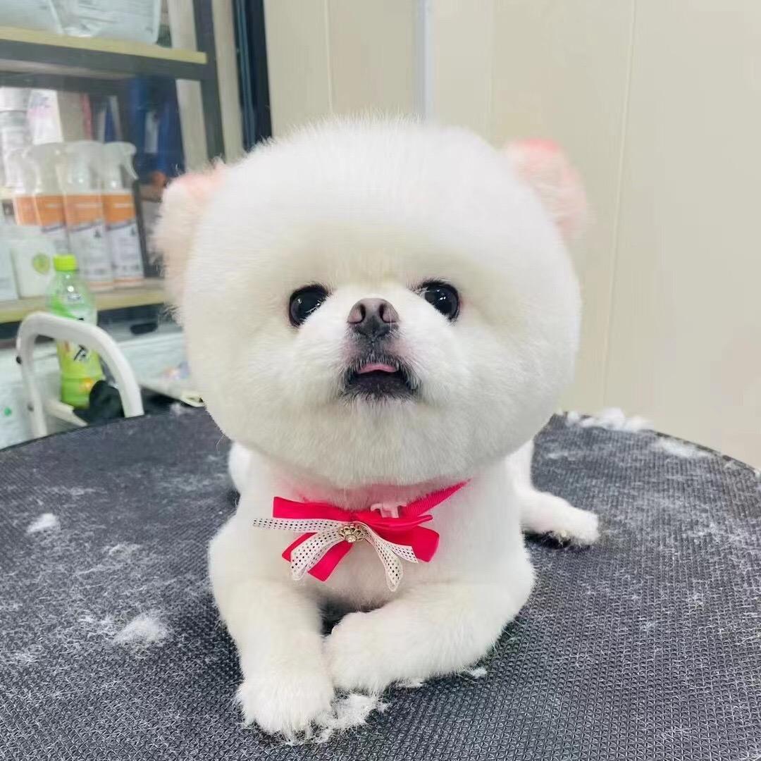 别拿你的脾气挑战我