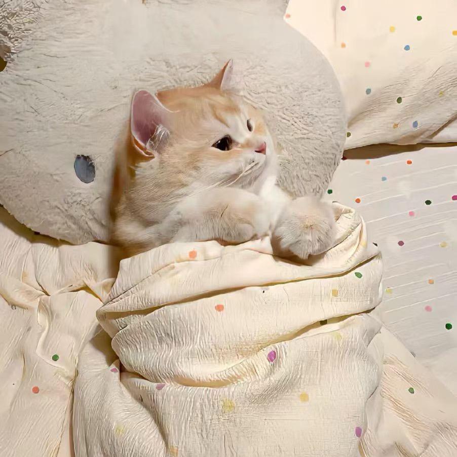 ㅤㅤ   ㅤㅤ   ㅤㅤ甜甜次