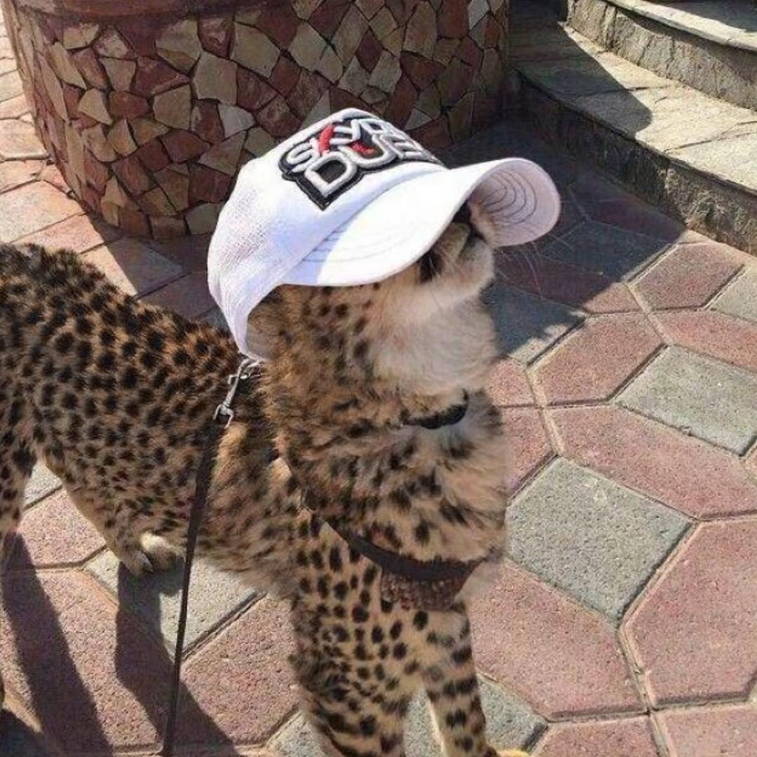 Yêu 5