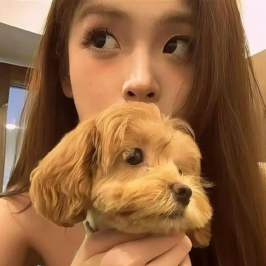 闪电小狗🐕