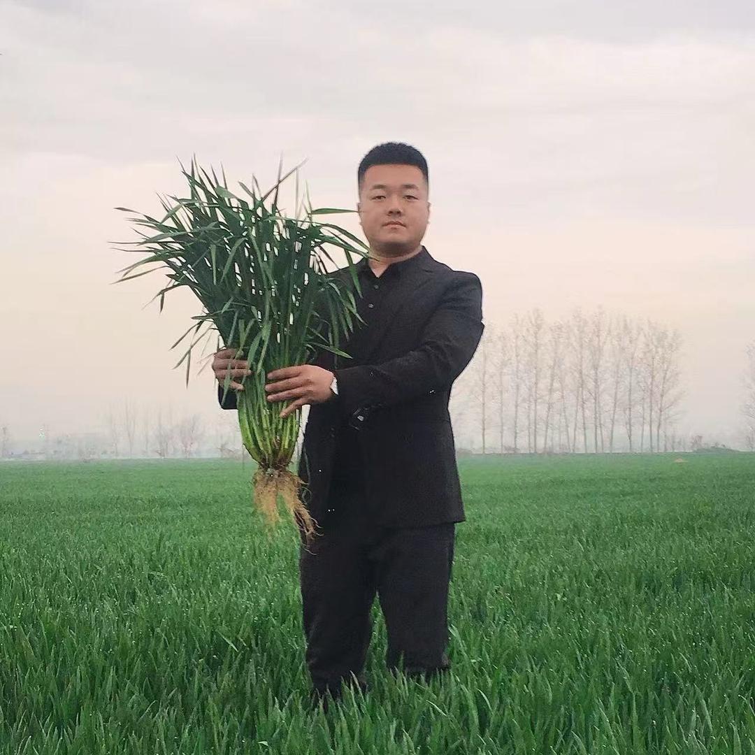 三农小刘