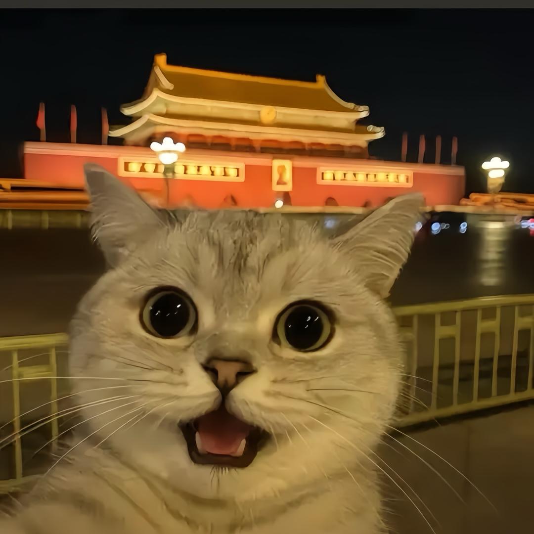 嚷我来康康