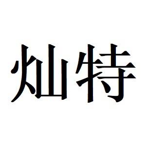 灿特广州灿特科技有限公司汽车零部件专卖店