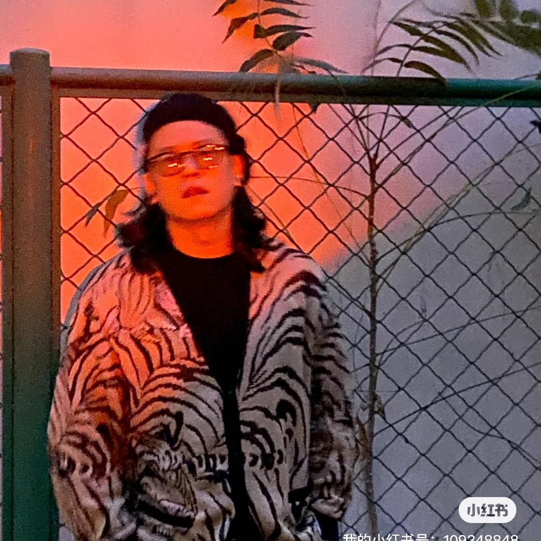 大曦哥爱扎人