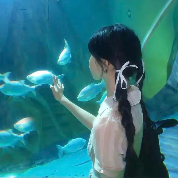 年糕小喵🐾
