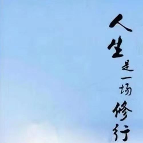 鲍哥2