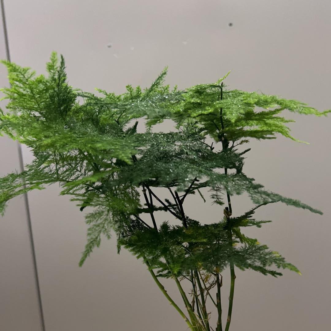 简单粗暴1