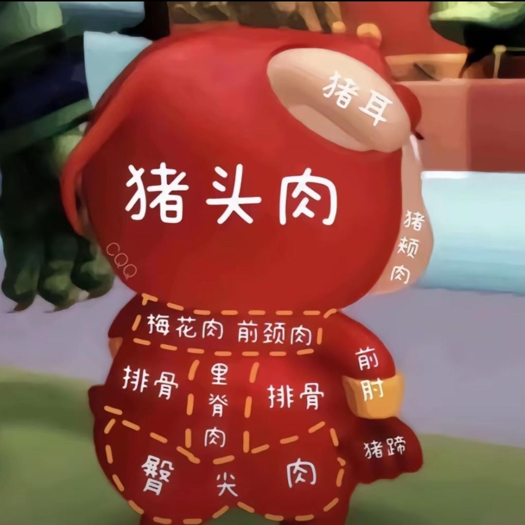 斜斜斜斜方肌（卧推pr：110kg版