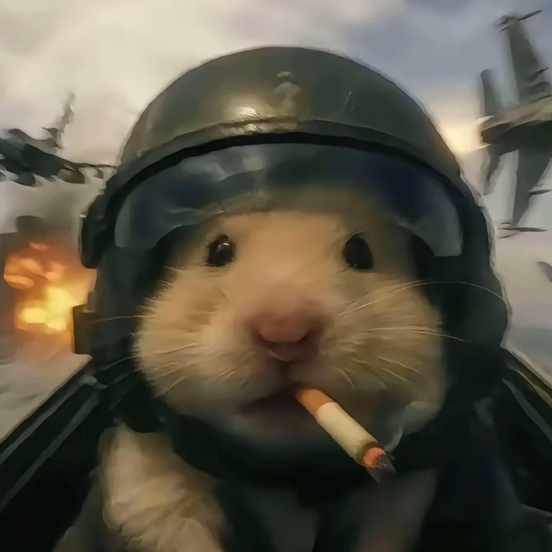 麦鼠鼠（三角洲行动代肝跑刀）