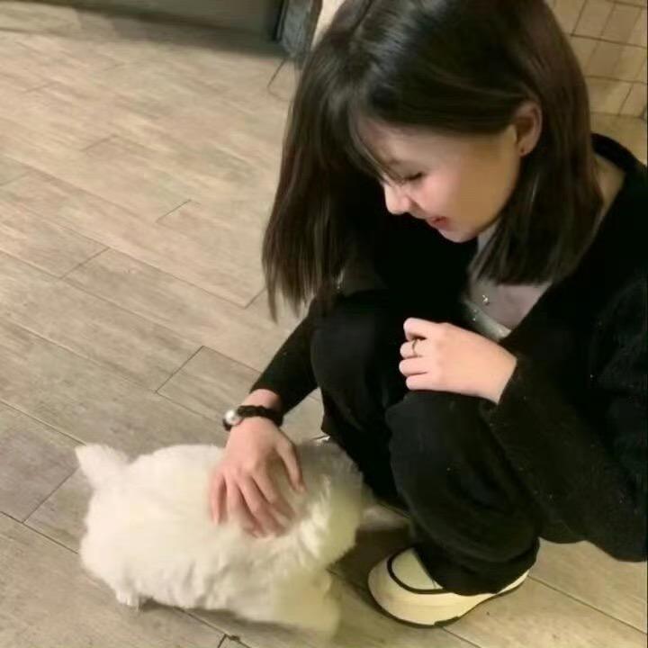 麦乐蒂