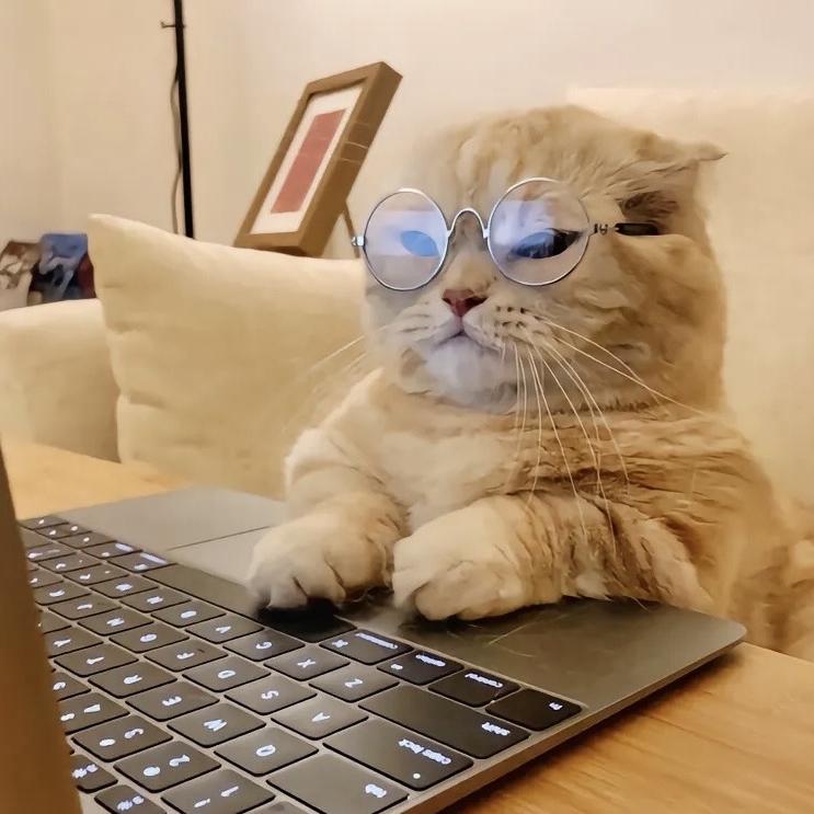 我是谁,你在哪?