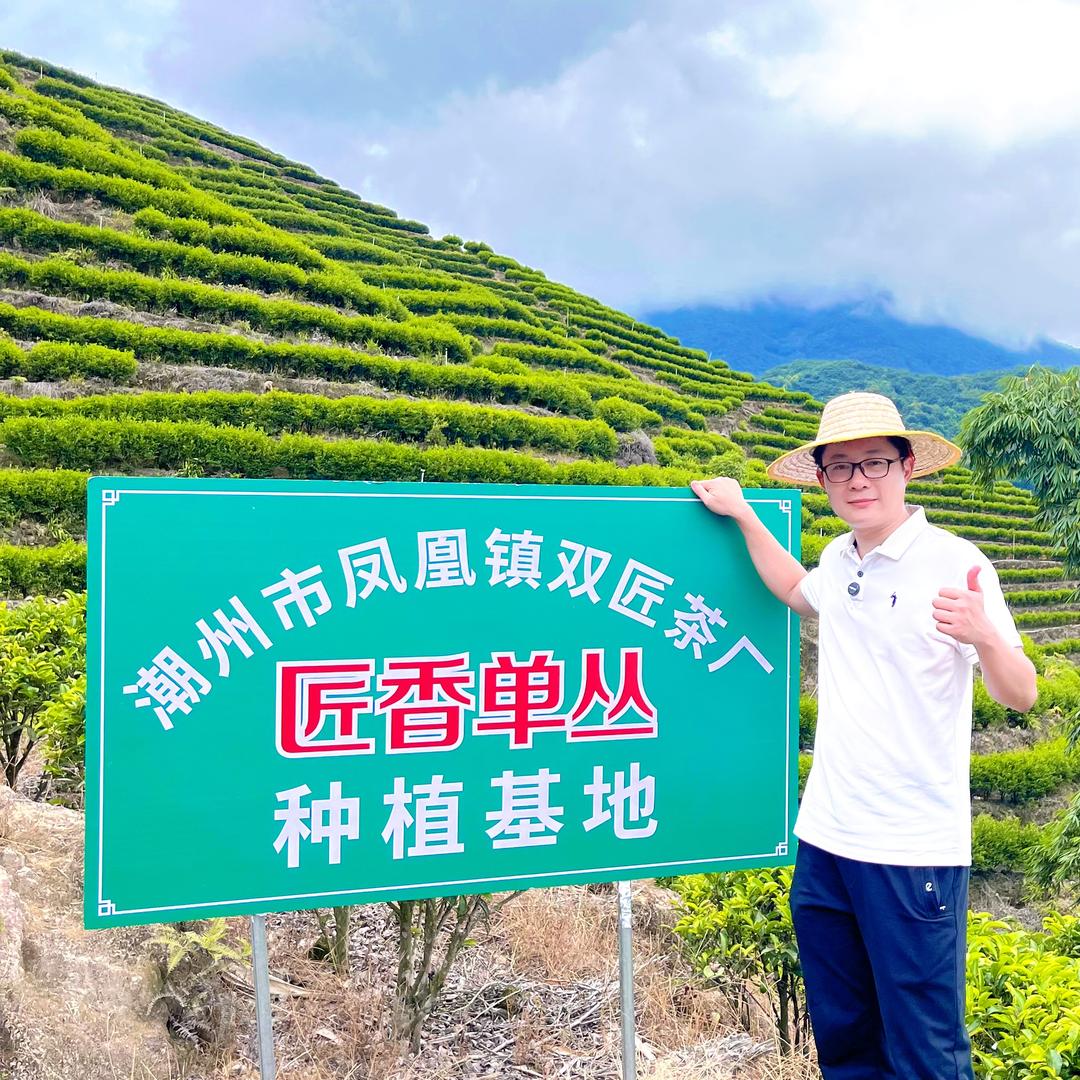 匠香单丛