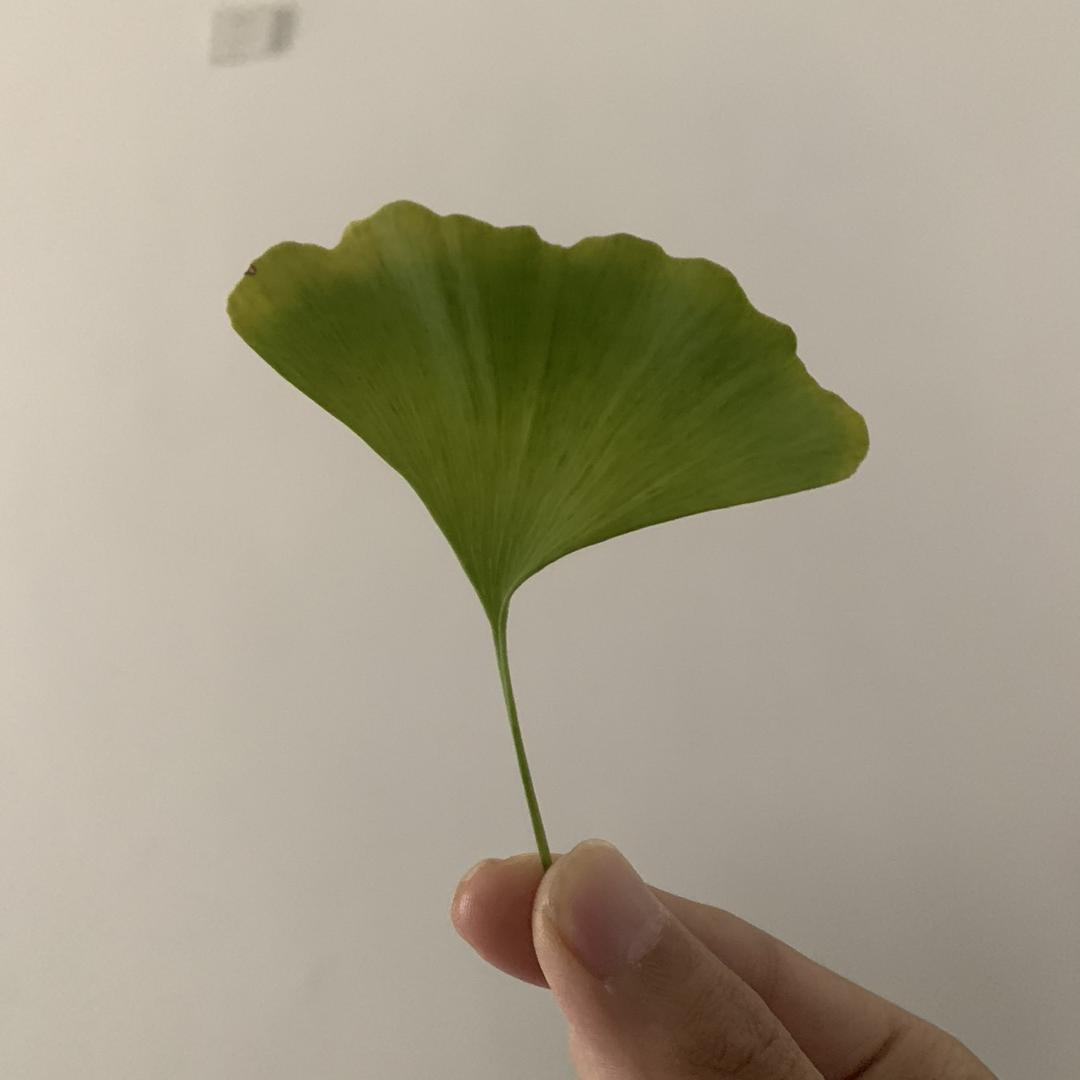 五月