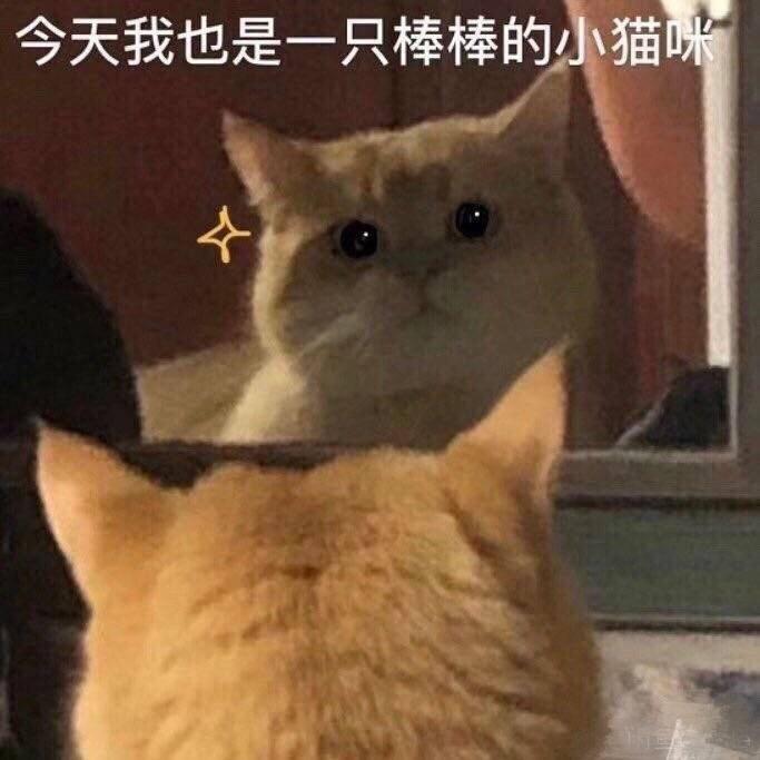 川流不息yyds