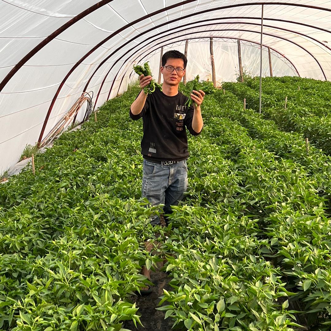 富平县小西月农副产品屋