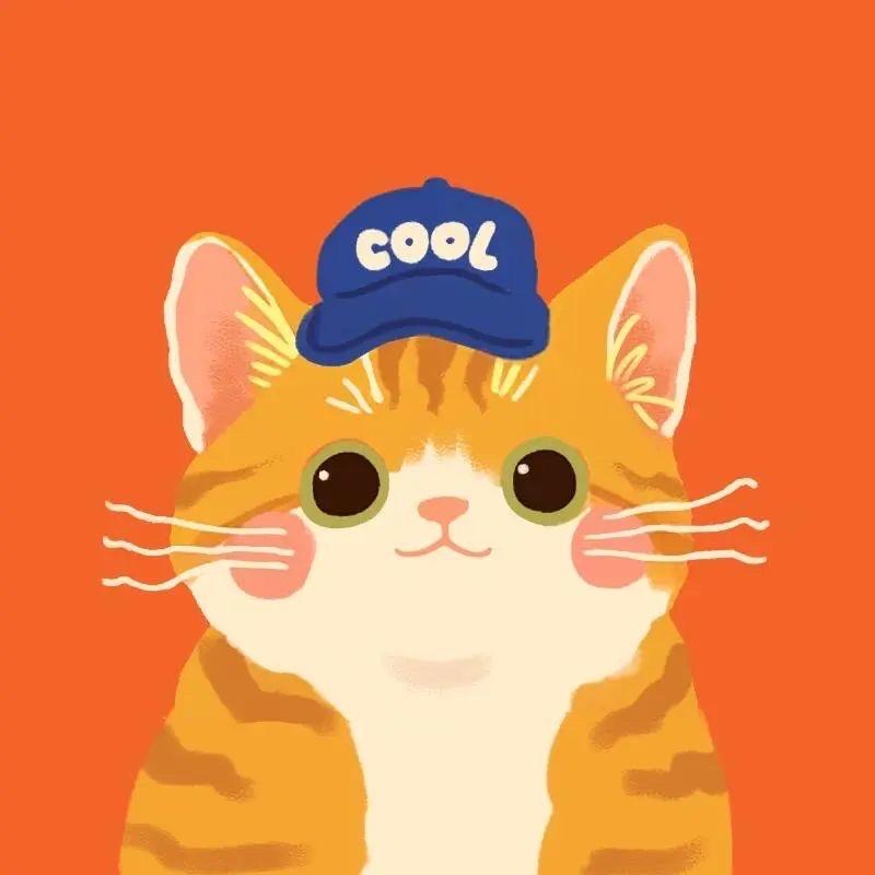 王猫猫(>^ω^<)