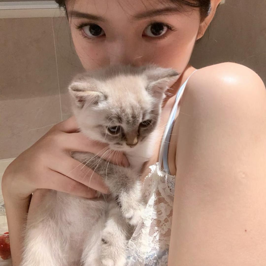 一只羊-