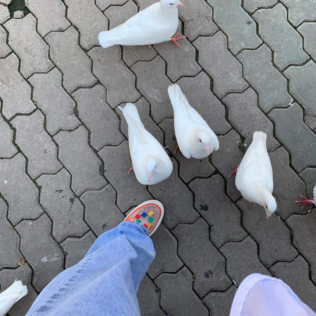 猛踹瘸子的好腿