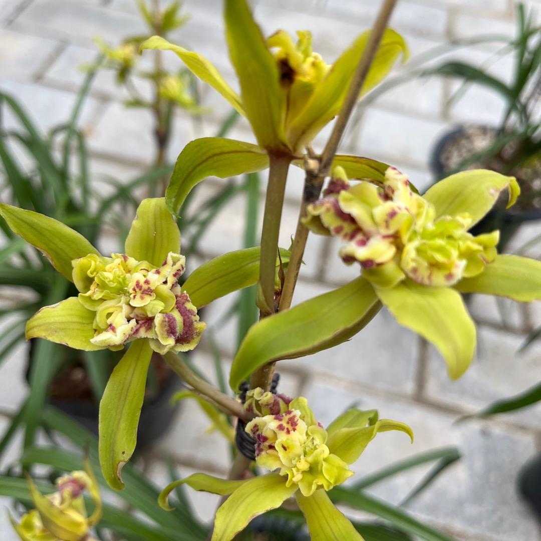 💖邂♐️逅🎶