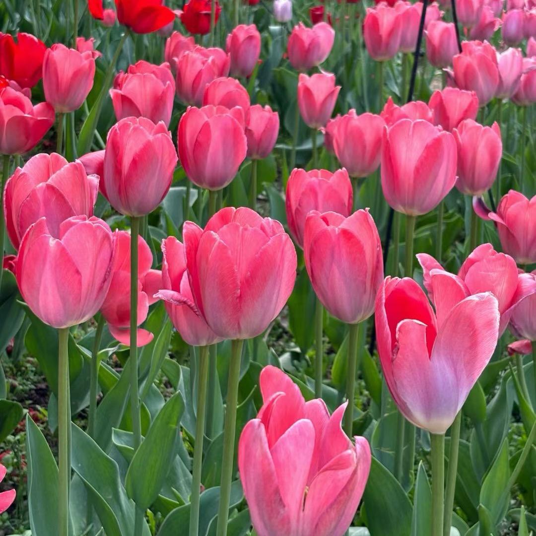 往事归零，往后随意（连赞拉黑）