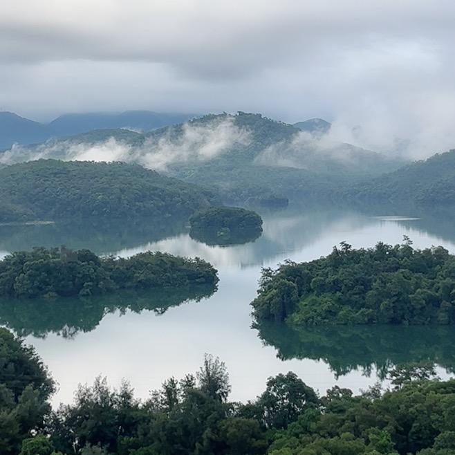 最近爱上了蝴蝶兰
