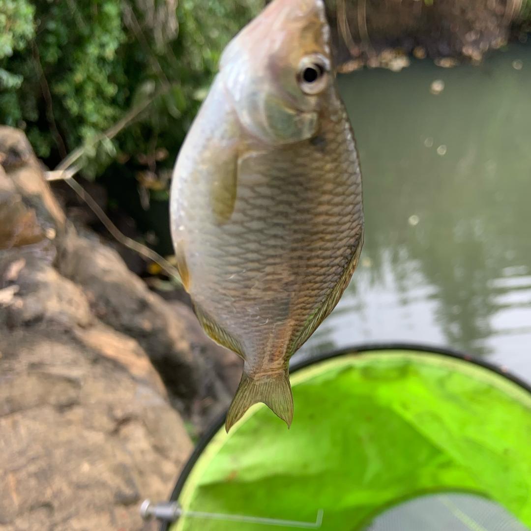 雨厂坪百姓建材