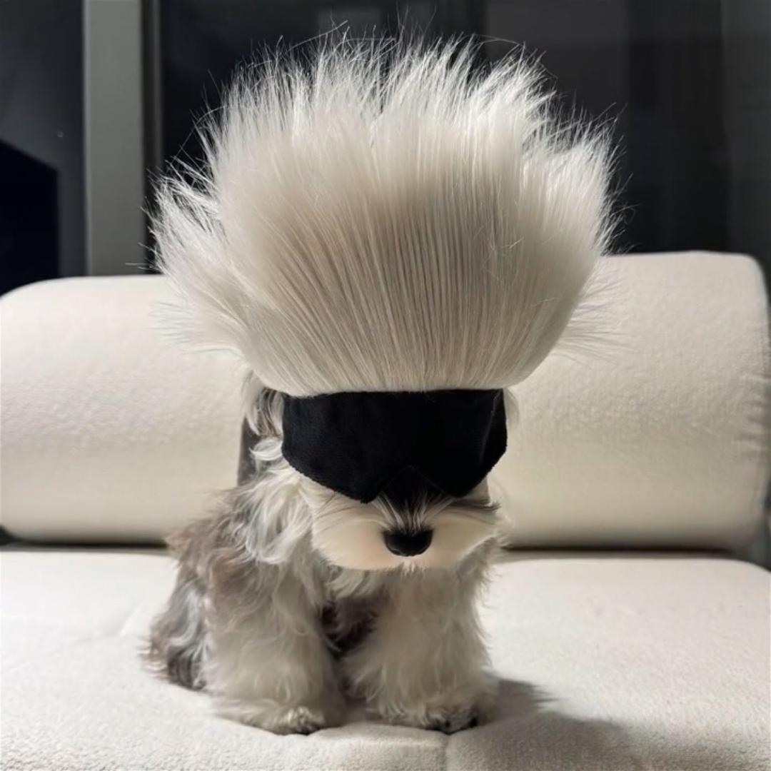 张酒酒酱爆铁签烤肉（创业vlog）