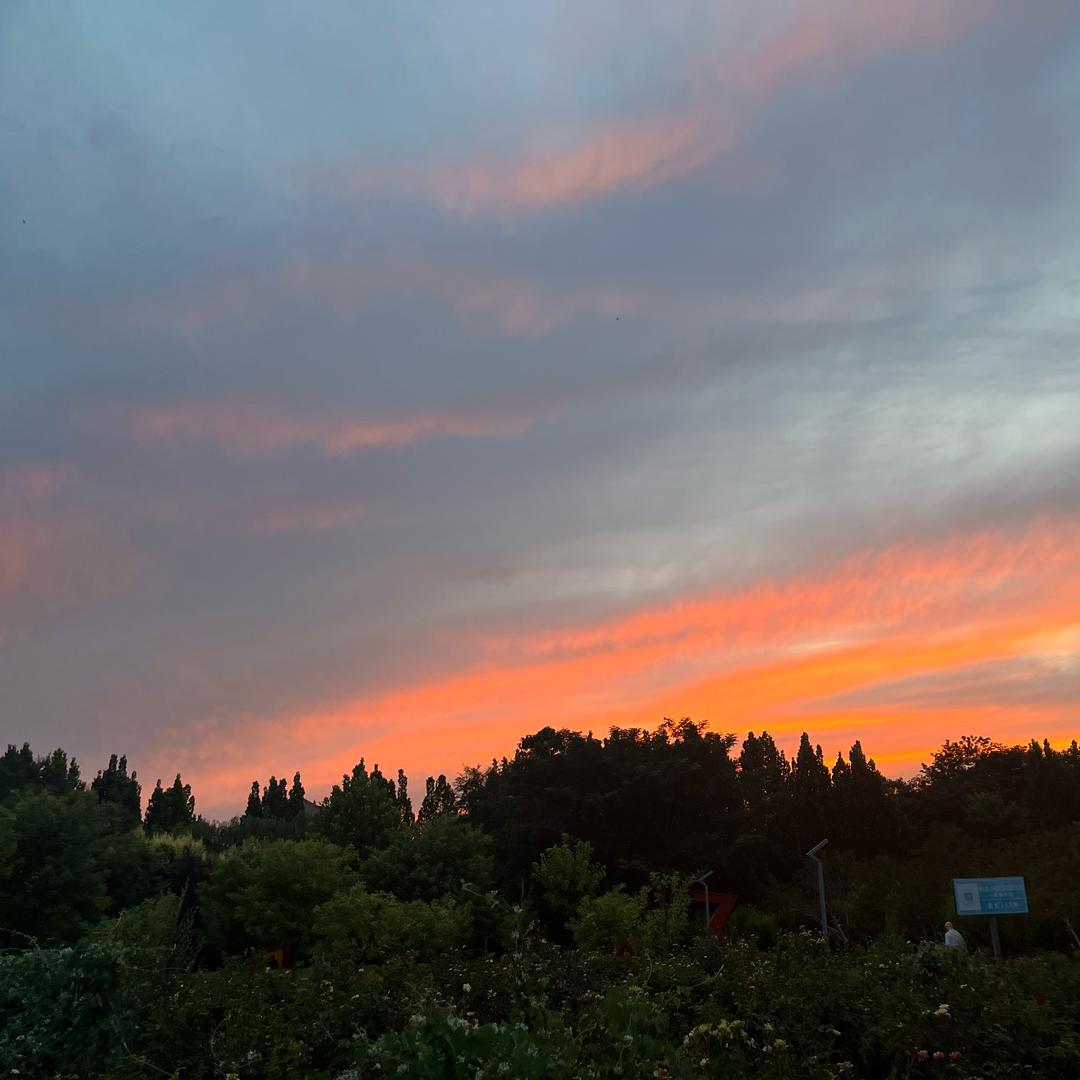 ^_^晴天☀️