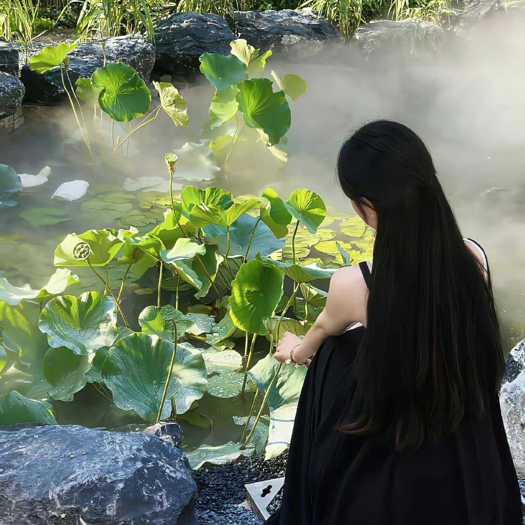 慧好运