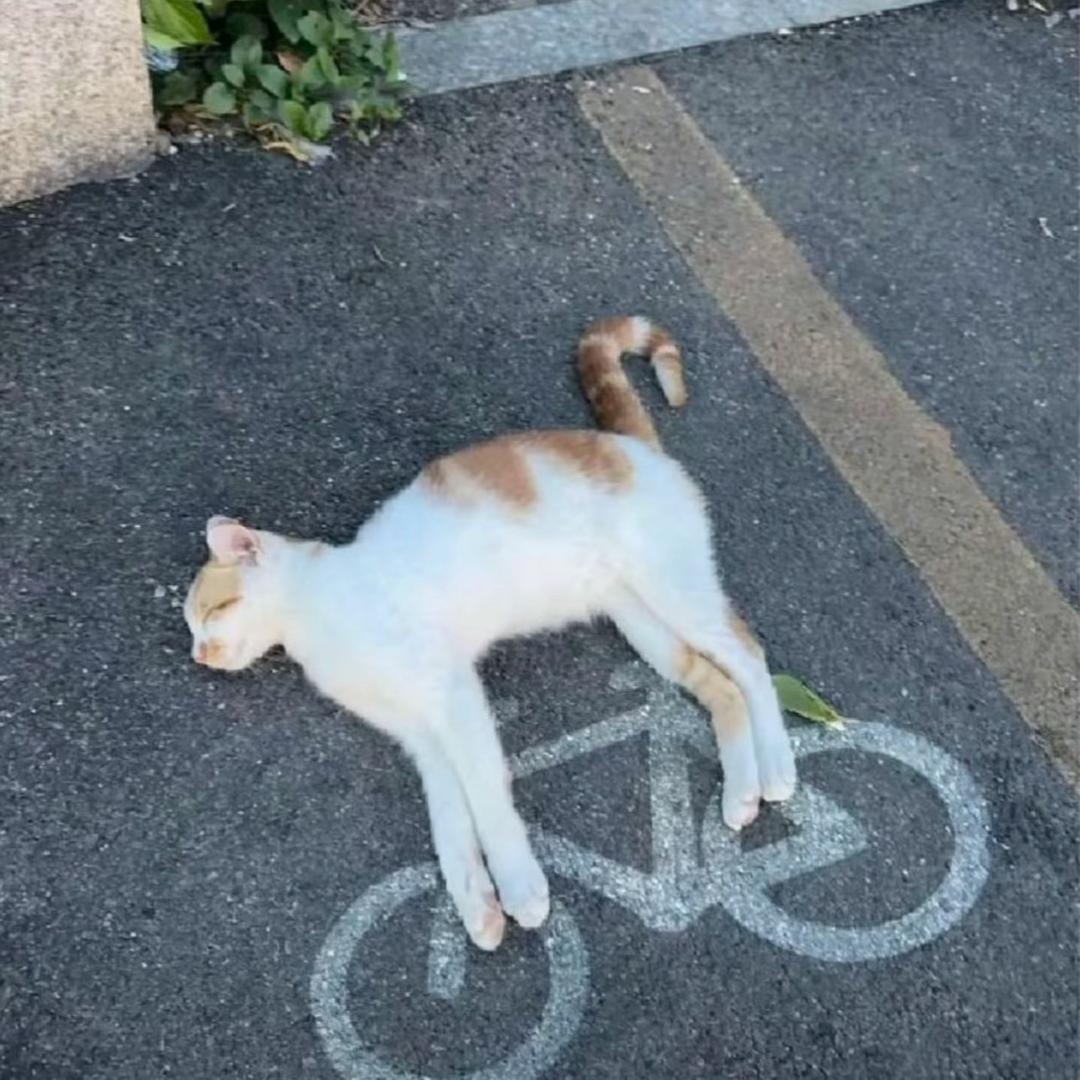 云缀屏