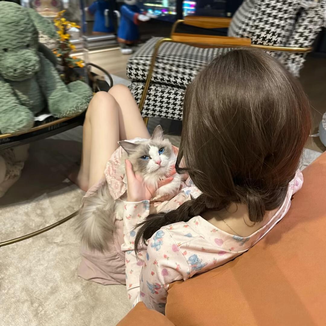 Timi台球俱乐部-18🎱