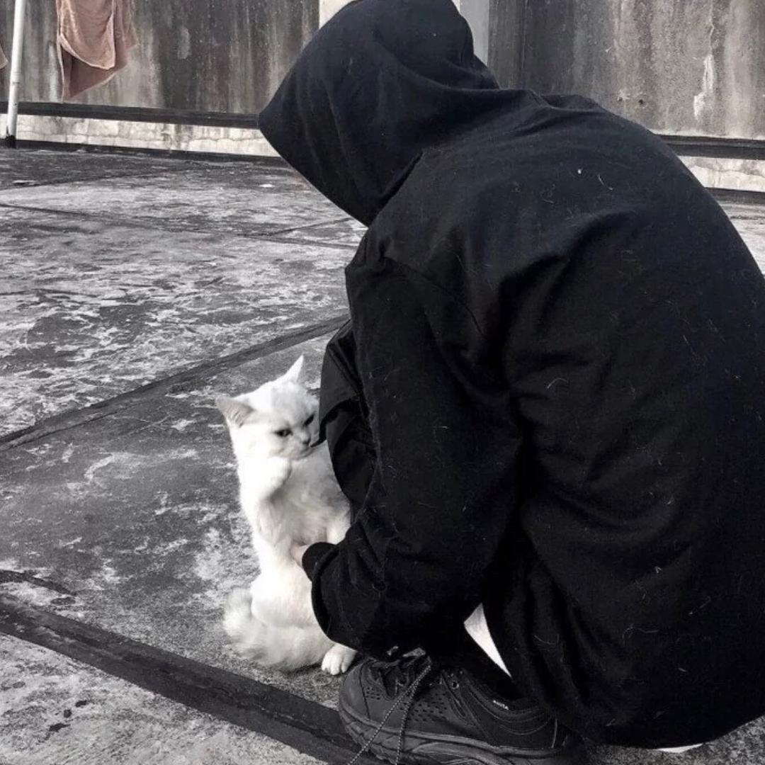 晨的
