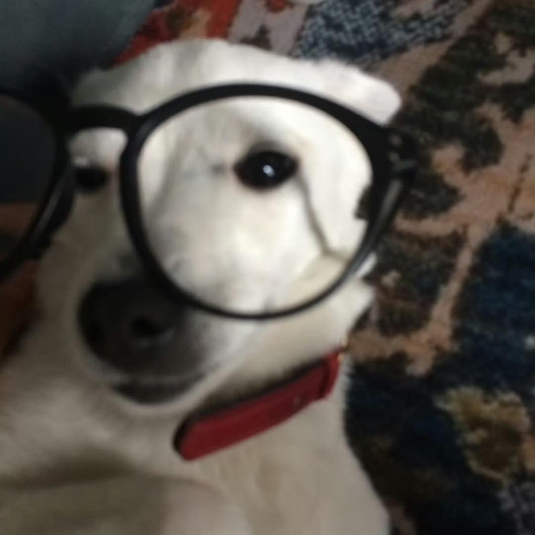 不要