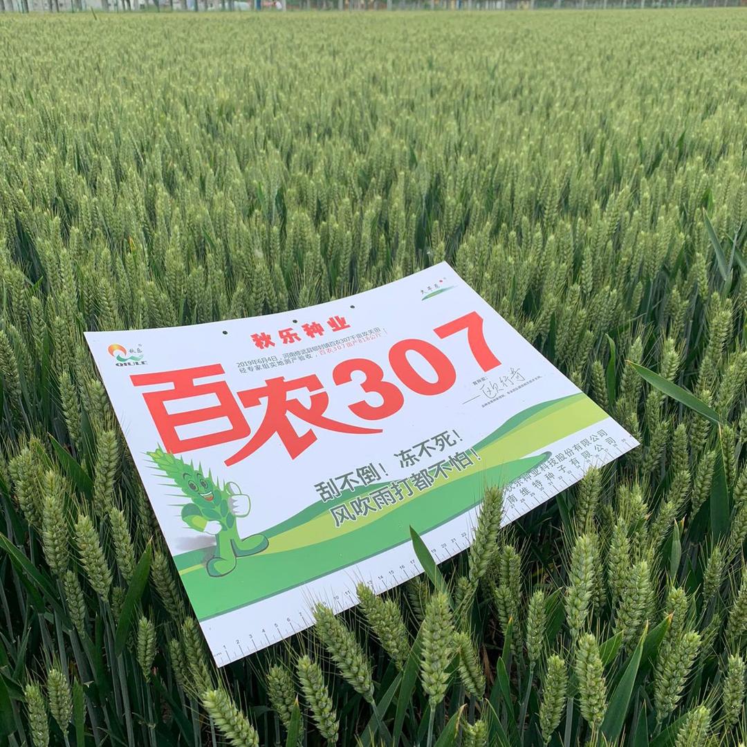 马乡赖屯路勇农资店