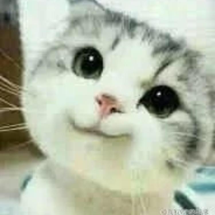 小超