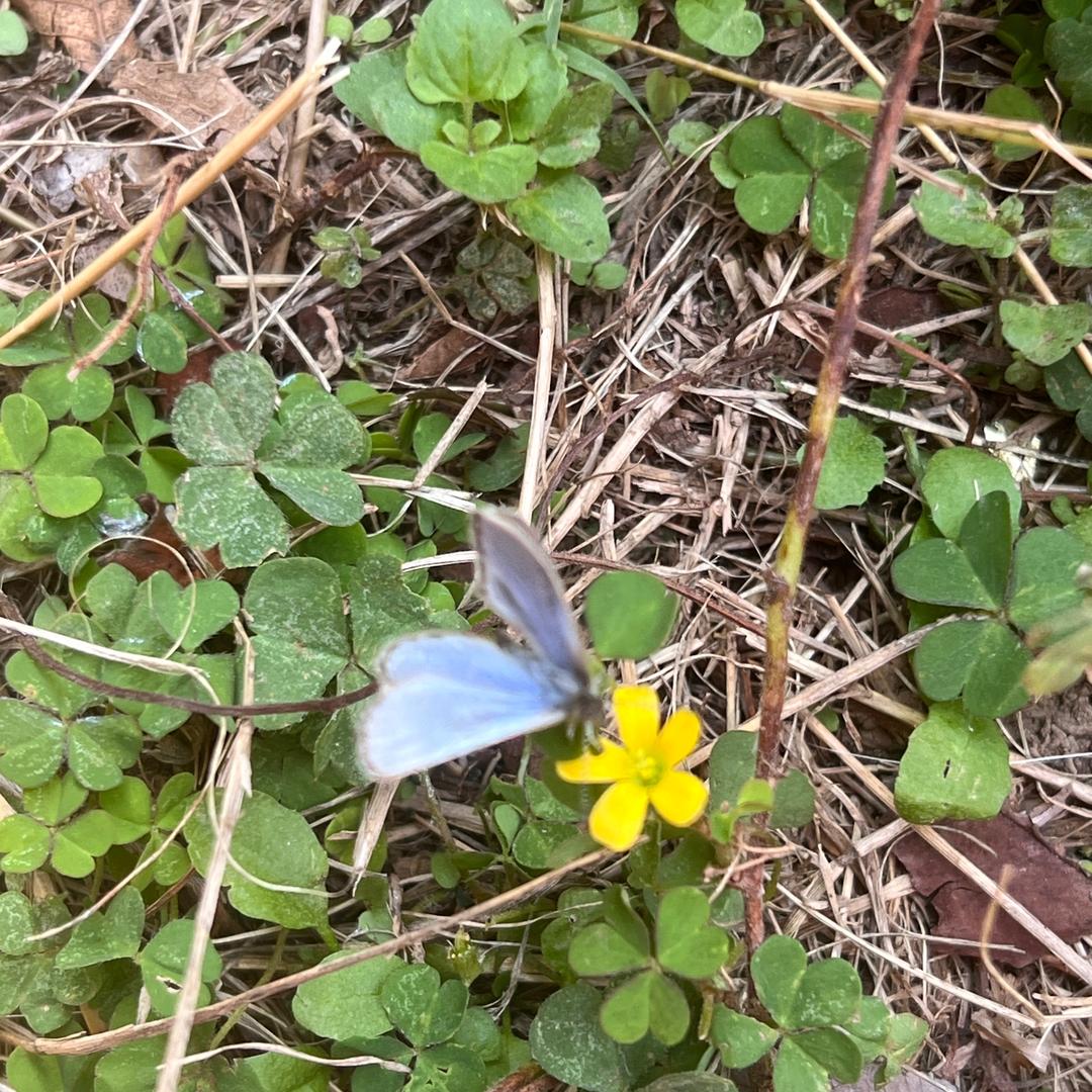 带孩子的闲人