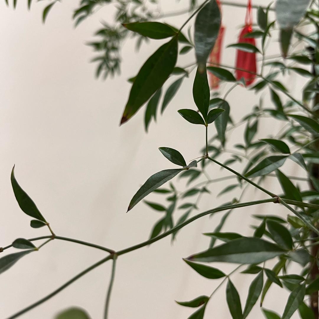 每天进步一点点